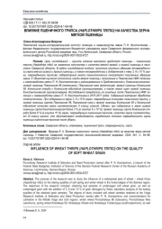 ВЛИЯНИЕ ПШЕНИЧНОГО ТРИПСА (HAPLOTHRIPSTRITICI) НА КАЧЕСТВА ЗЕРНА МЯГКОЙ ПШЕНИЦЫ