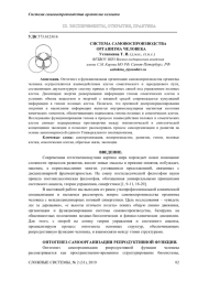 СИСТЕМА САМОВОСПРОИЗВОДСТВА ОРГАНИЗМА ЧЕЛОВЕКА