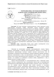 МОРФОДИНАМИКА СИСТЕМЫ ПОДВОДНОГО КАНЬОНА КОНСТАНТИНОВСКИЙ (ЧЁРНОЕ МОРЕ)