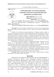 МОРФОДИНАМИКА СИСТЕМЫ ПОДВОДНЫХ КАНЬОНОВ МОРСКОГО КРАЯ ИМЕРЕТИНСКОЙ НИЗМЕННОСТИ (ЧЕРНОЕ МОРЕ)