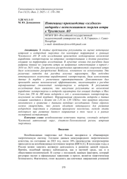 ПОТЕНЦИАЛ ПРОИЗВОДСТВА «ЗЕЛЁНОГО» ВОДОРОДА С ИСПОЛЬЗОВАНИЕМ ЭНЕРГИИ ВЕТРА В ЧУКОТСКОМ АО
