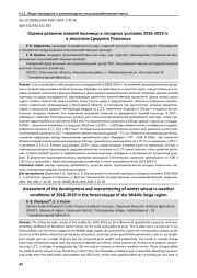 ОЦЕНКА РАЗВИТИЯ ОЗИМОЙ ПШЕНИЦЫ В ПОГОДНЫХ УСЛОВИЯХ 2016-2019 ГГ. В ЛЕСОСТЕПИ СРЕДНЕГО ПОВОЛЖЬЯ
