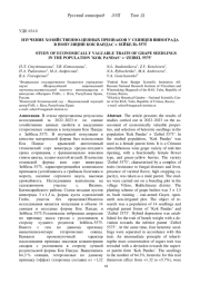ИЗУЧЕНИЕ ХОЗЯЙСТВЕННО-ЦЕННЫХ ПРИЗНАКОВ У СЕЯНЦЕВ ВИНОГРАДА В ПОПУЛЯЦИИ КОК ПАНДАС × ЗЕЙБЕЛЬ 5575