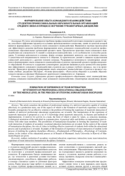 ФОРМИРОВАНИЕ ОПЫТА КОМАНДНОГО ВЗАИМОДЕЙСТВИЯ СТУДЕНТОВ ПРОФЕССИОНАЛЬНЫХ ОБРАЗОВАТЕЛЬНЫХ ОРГАНИЗАЦИЙ СРЕДНЕГО ЗВЕНА В ПРОЦЕССЕ ИЗУЧЕНИЯ ГУМАНИТАРНЫХ ДИСЦИПЛИН