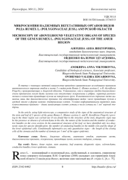 МИКРОСКОПИЯ НАДЗЕМНЫХ ВЕГЕТАТИВНЫХ ОРГАНОВ ВИДОВ РОДА RUMEX L. (POLYGONACEAE JUSS.) АМУРСКОЙ ОБЛАСТИ