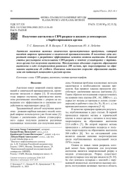 Получение ацетилена в СВЧ-разряде в жидких углеводородах с барботированием аргона
