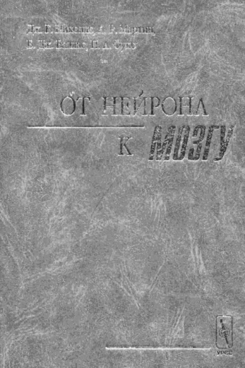 От нейрона к мозгу