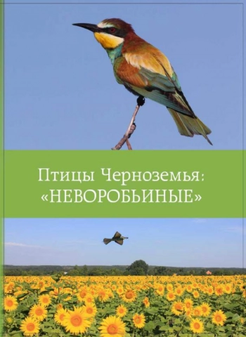 ПТИЦЫ ЧЕРНОЗЕМЬЯ: НЕВОРОБЬИНЫЕ
