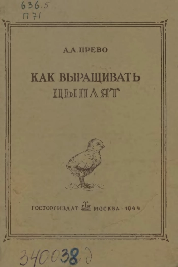 Как выращивать цыплят