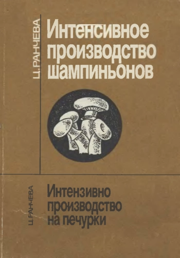 Интенсивное производство шампиньонов