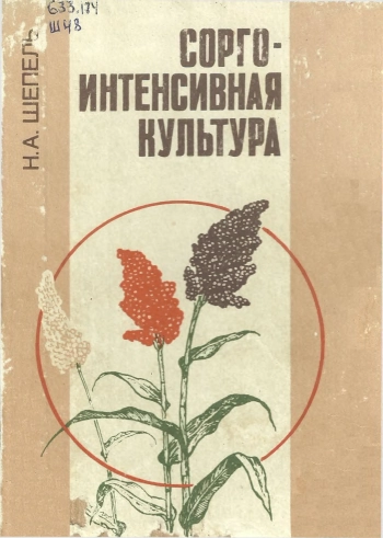 Сорго — интенсивная культура