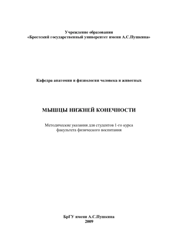 Мышцы нижней конечности. Методические указания для студентов