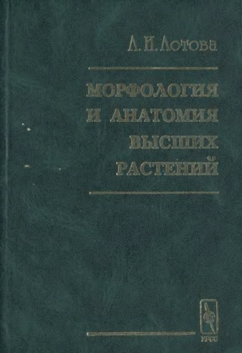 Морфология и анатомия высших растений