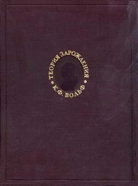 Теория зарождения